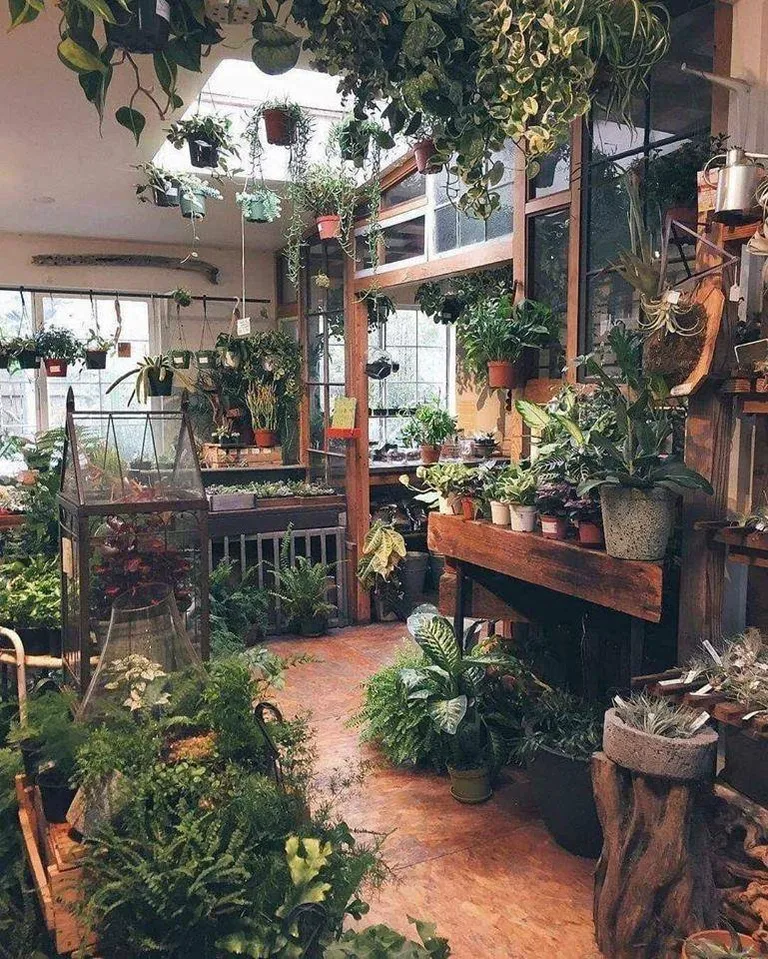 Indoor Garden