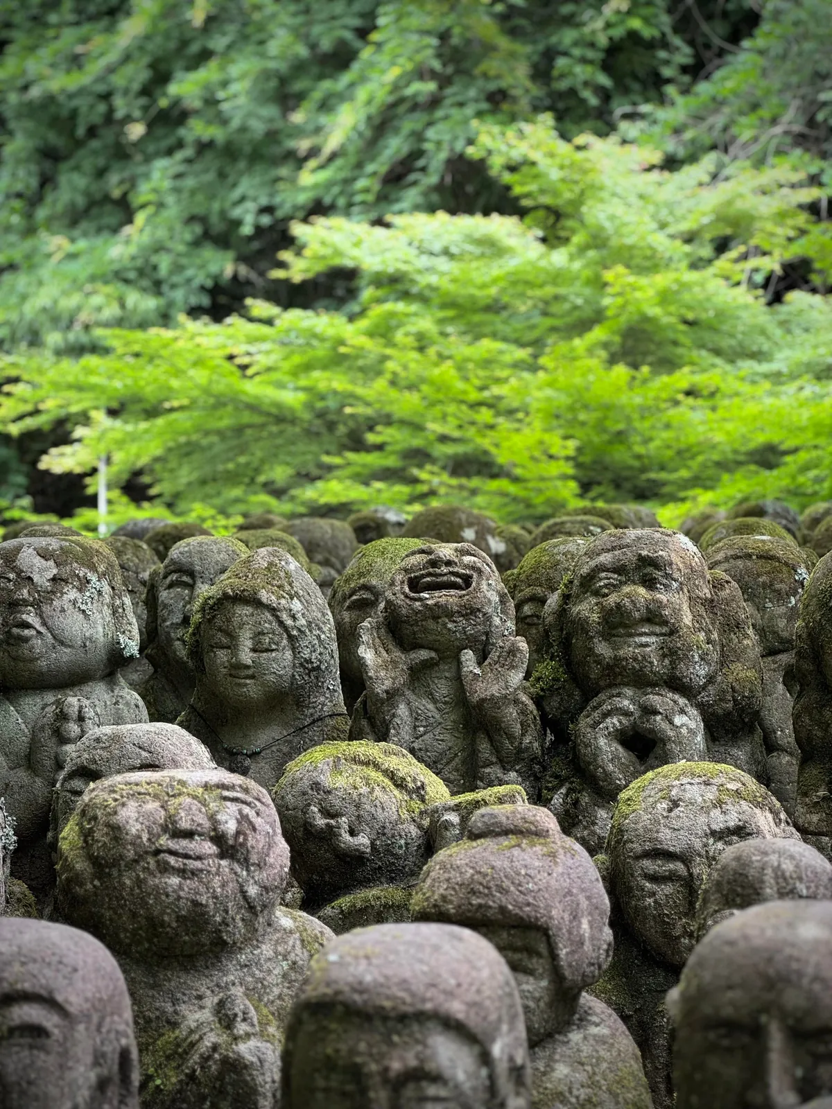 My thoughts after 2 weeks in Japan (Tokyo, Kyoto, Osaka)