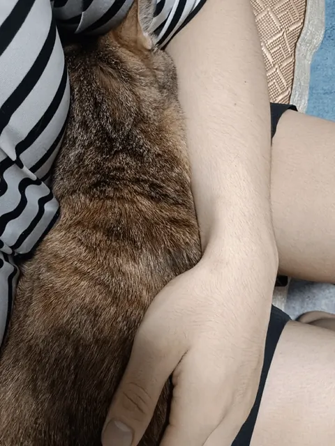 Too clingy to handle. She always wants a hug!