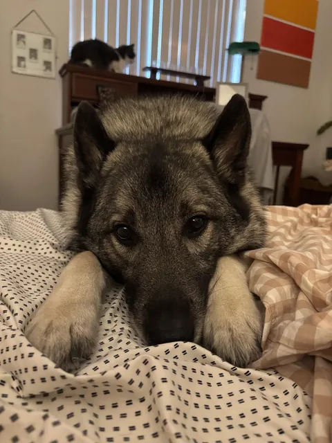 Please don’t go 🥺