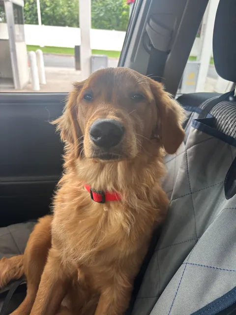 A story in 4 pictures