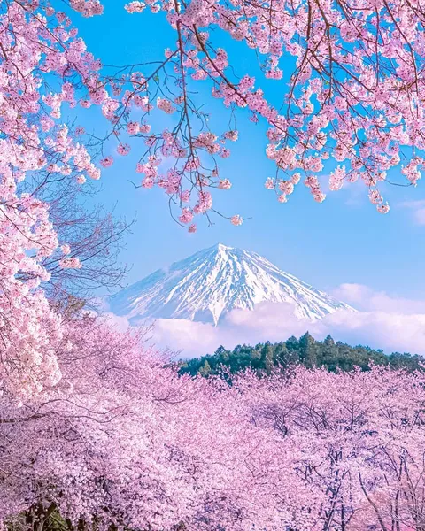🔥 Shizuoka, Japan 🔥
