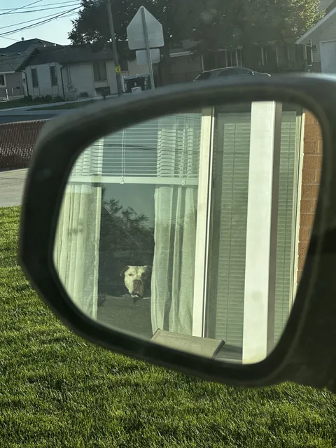 What I see every day as I pull out of the driveway to go to work