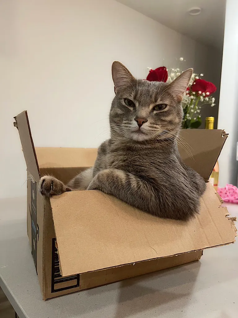 How You Ladies Doing Today.