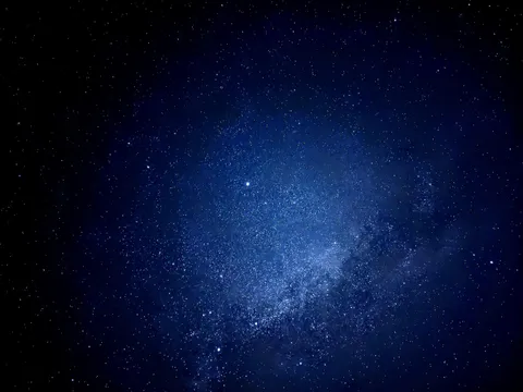 Probably one of my best photo I took, shot on a Google pixel A7