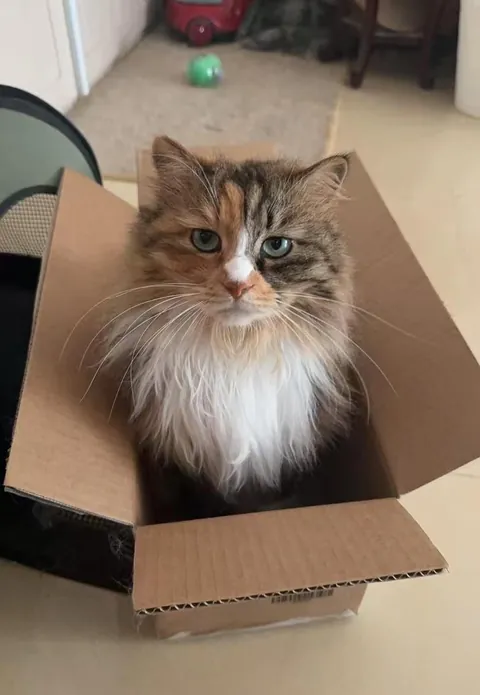 My girl being very upset when I need to go for work