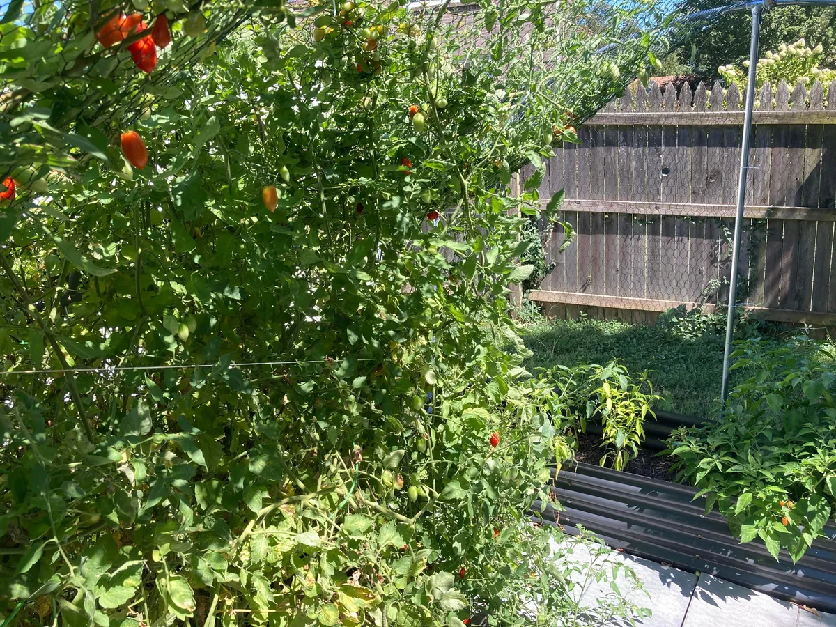 I accidentally created a monster