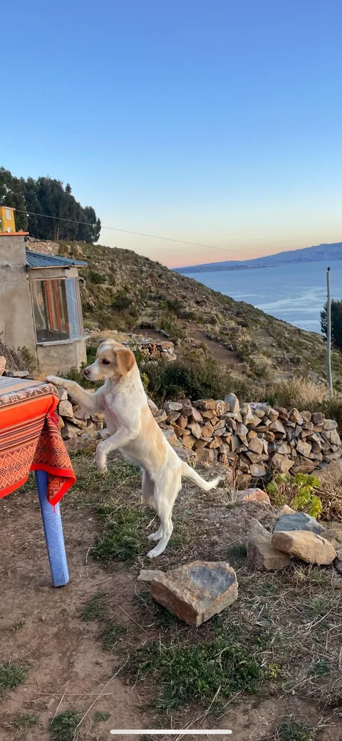 Isla Del Sol, Bolivia is incredible