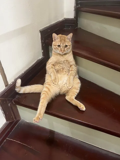 My roommate is unemployed and has a bad posture, roast him