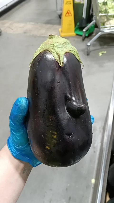 An eggplant with a nose I found at work