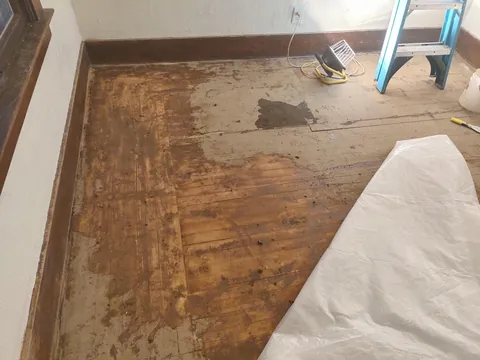 Restored 1916 hardwood floor Midwest