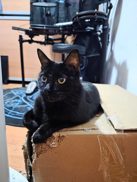 My 11 years old baby