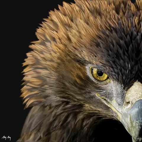 This took me over 100 hours to draw