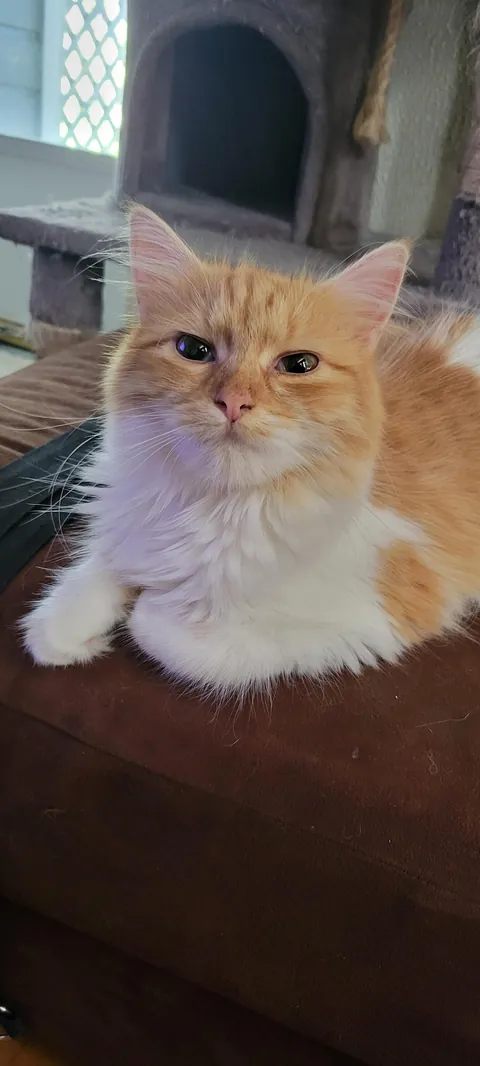 Woke up this morning and she was gone.