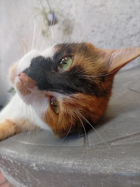 Every time I say his name he turns around and looks me in the eyes