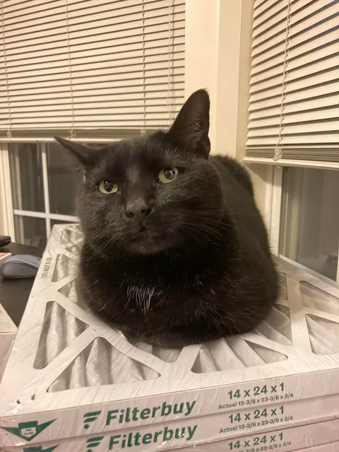 It’s taken me a while to make this post, but here is my sweet man Benjamin <3