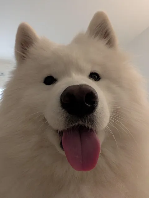 This face wakes me up every morning, my angel.