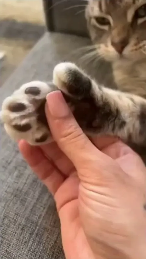 That would be enough for me