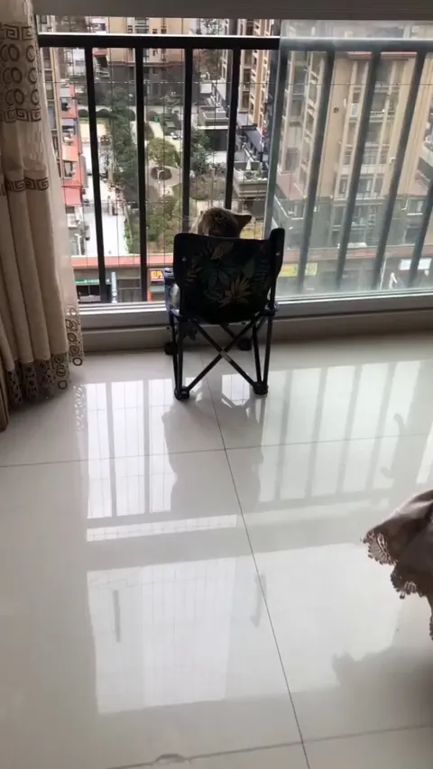 The king watching over his kingdom