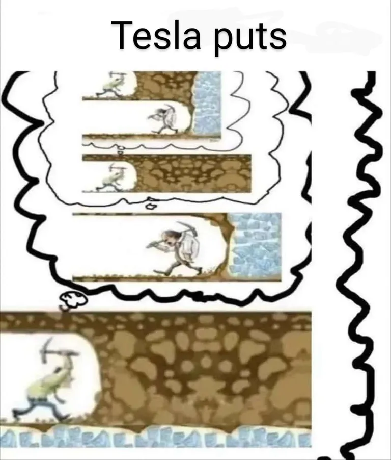 Tesla Puts Will Print Next Week