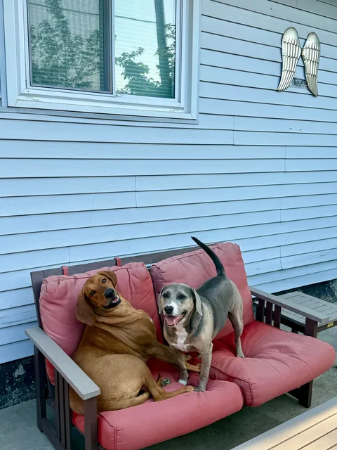 We want to adopt another so bad but don’t want to mess with the dynamic 🥲