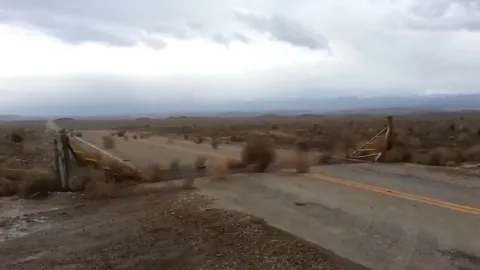 How the tumble weeds get stuck in this town