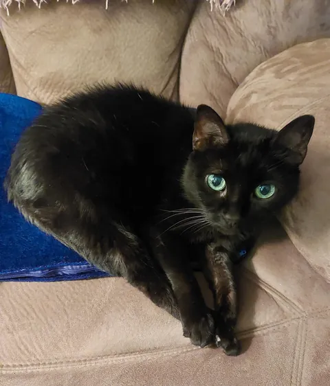 My Familiar of 19 Years