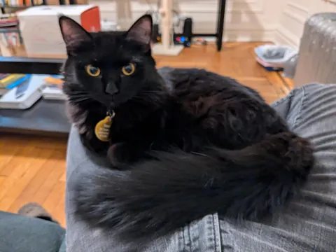 I'm overdue to share my baby, Nessa