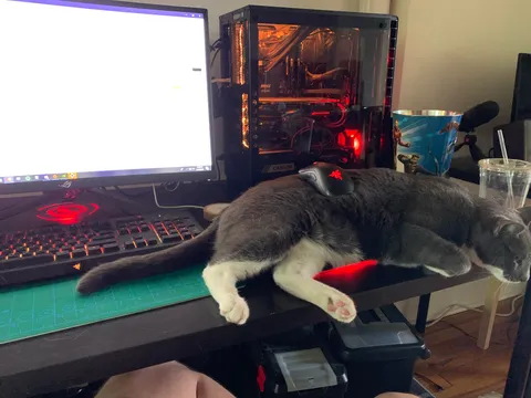 My new mouse pad really brings the whole thing together.