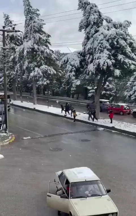 one way to deal with hooligans