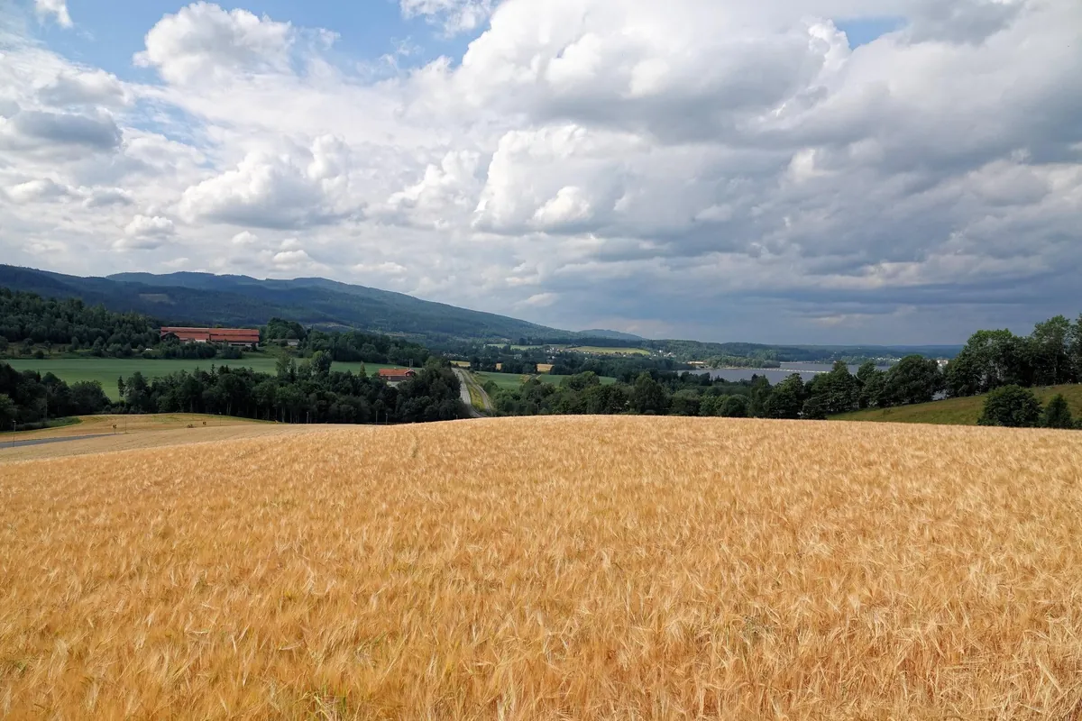 Jotunheim is a real place in Norway, and this week I went there on a road trip. [OC]