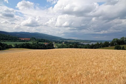 Jotunheim is a real place in Norway, and this week I went there on a road trip. [OC]