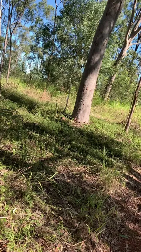 [F] I asked him to fuck me right then and there and I got my wish. What would you do if you came across us like this out in the wild?