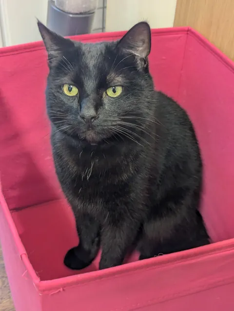 Just found out our Mary is actually a Barry. Sorry for calling you Babygirl all year dude 