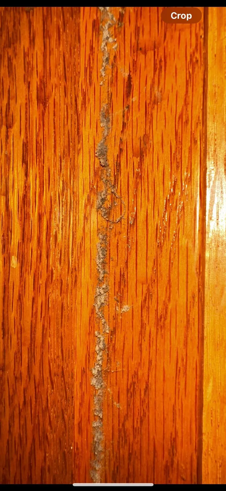 Moved into our “dream home” before closing… to discover it’s a moldy nightmare