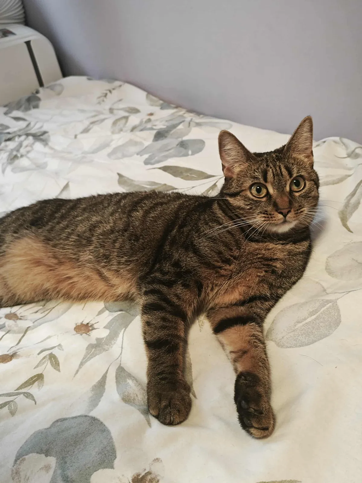 I can't believe she lives with me