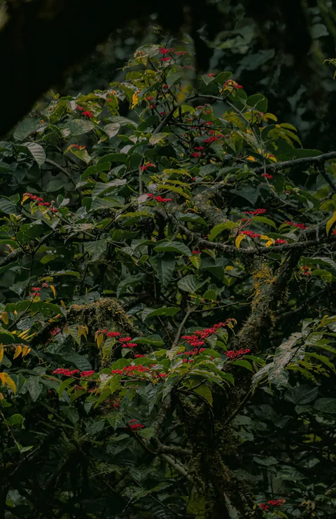 A little slice of pura Vida 📍 Costa Rica