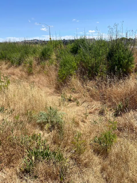 [OC] 2 years ago, I cleaned up this place once covered in illegal dumping. Today, it is still clean.