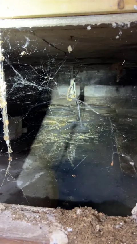 Smelled something odd