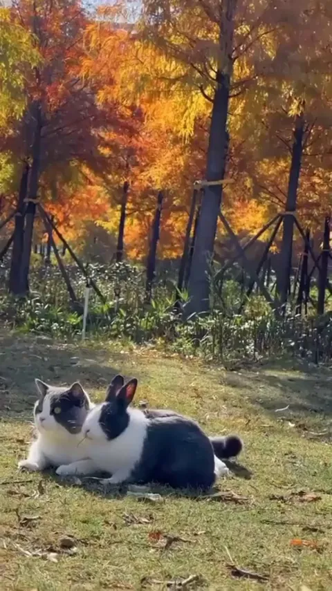 Taking care of each other