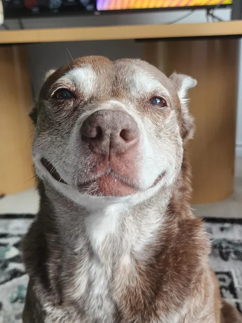 After dad tells Sydney how pretty she is for a 13 year old. 