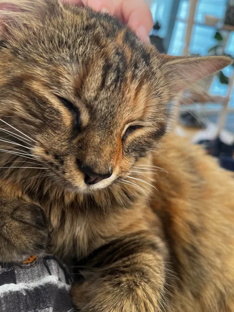 These babies just survived a children’s birthday party at their house.