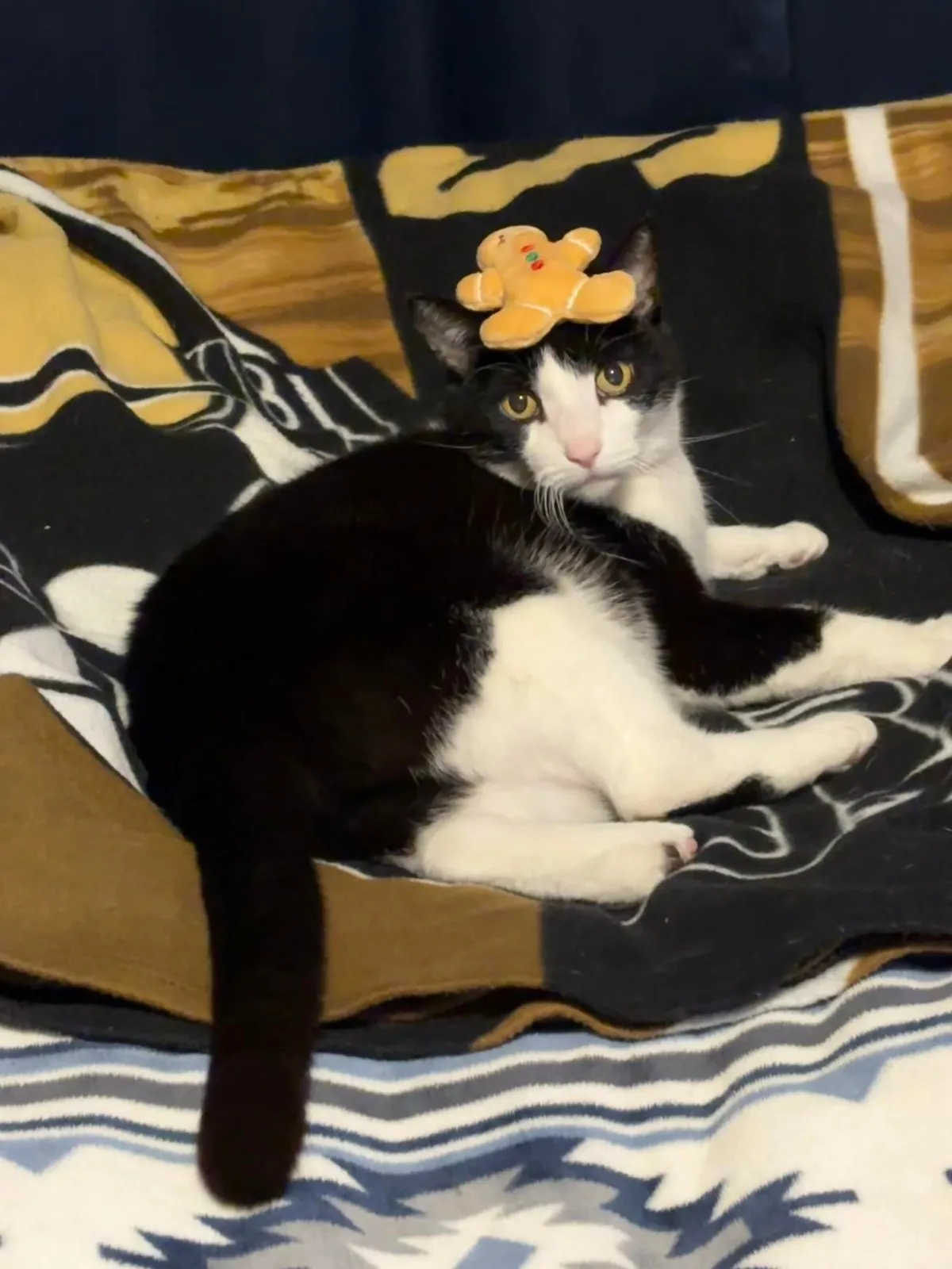 she was my best friend for 16 years…