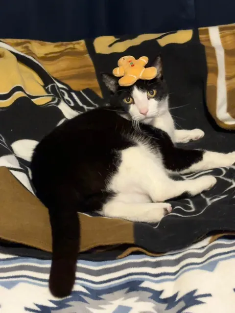 she was my best friend for 16 years…