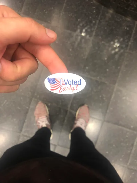 If you can stay up hours to catch an L, you can vote