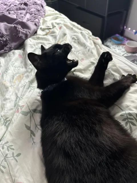 We accidentally woke her up 😅