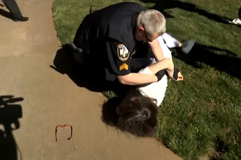 Cop takes down Emory economics professor Caroline Fohlin, head to the curb style
