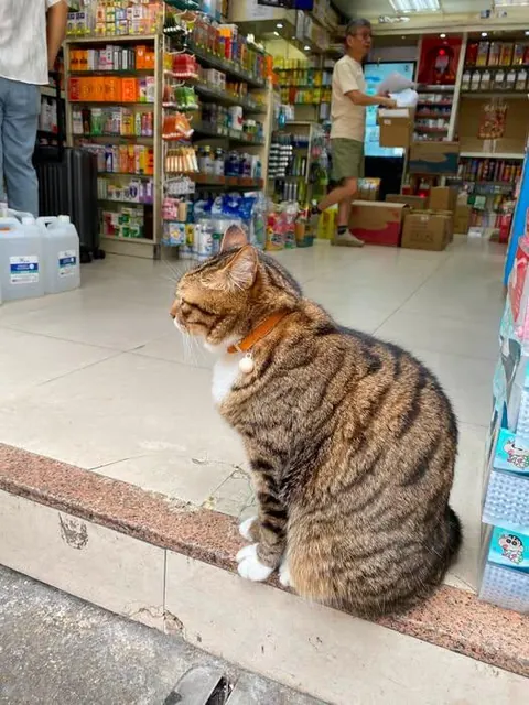 store manager