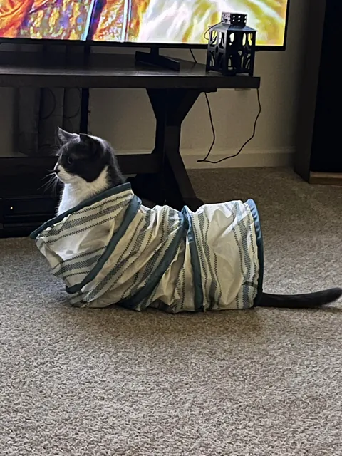 Every single night….