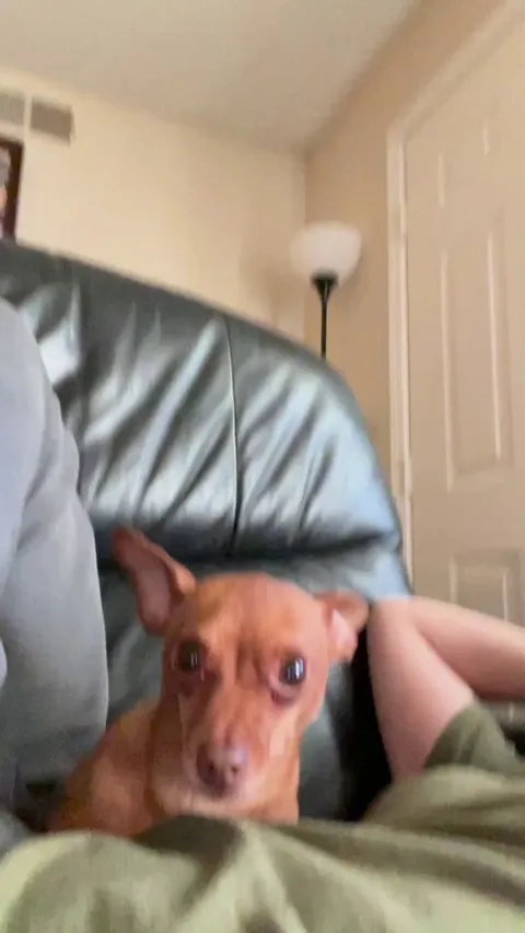 Watch to the end 😭❤️